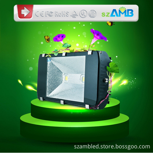 150W LED Tunnel Light with Meanwell Driver